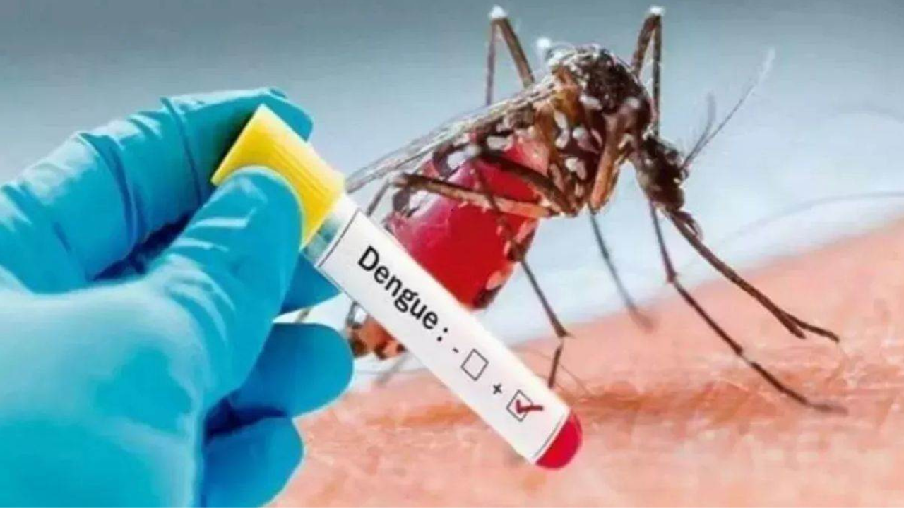 Dengue